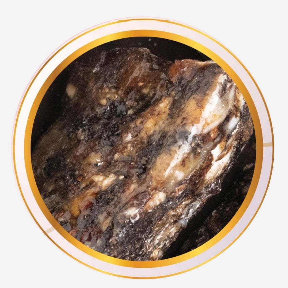 GUMBENZOIN / SAMBRANI / LOBAN / TT