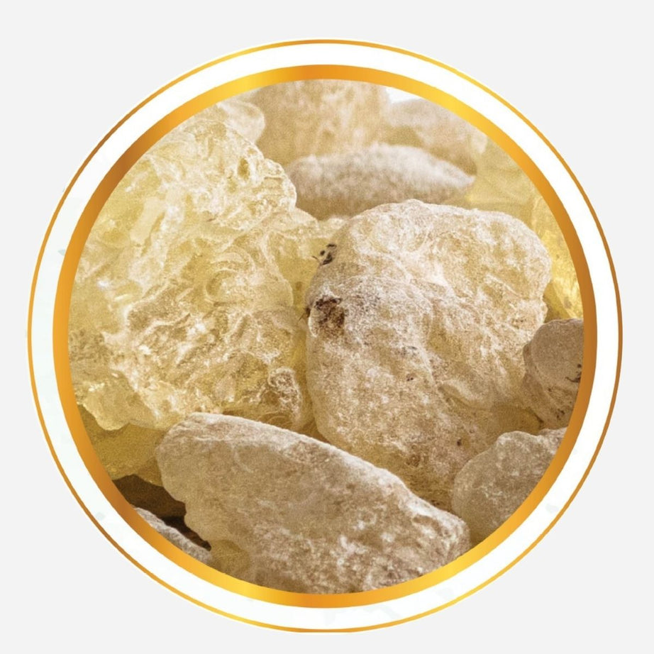 GUMDAMAR / VELLAI KUNGULIYAM / BELLI DHOOPA / WHITE GUGAL