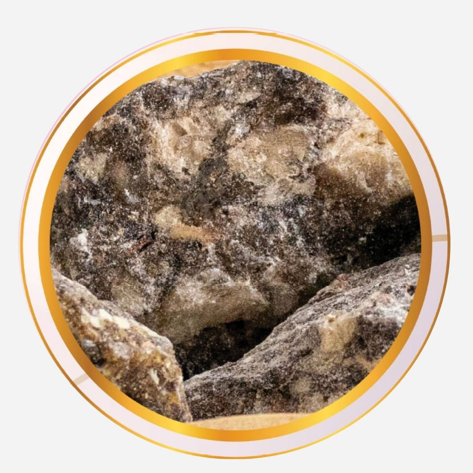 GUMBENZOIN / SAMBRANI / LOBAN / TT