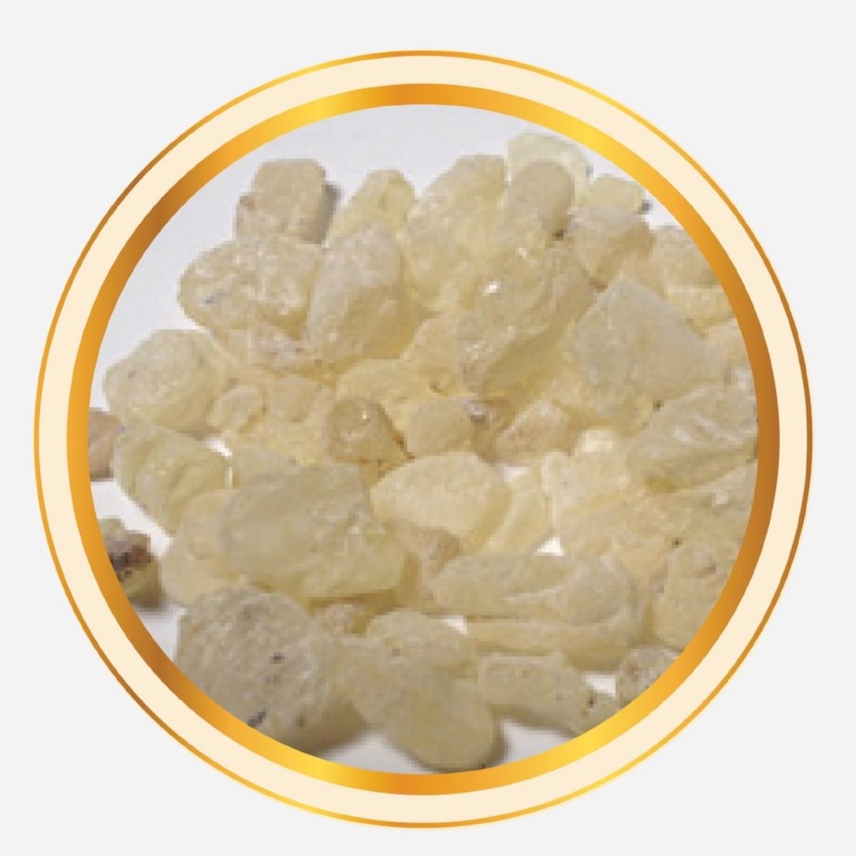 GUM COPAL / CHANDRUS